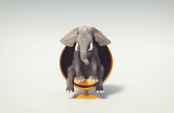 elephant in chair